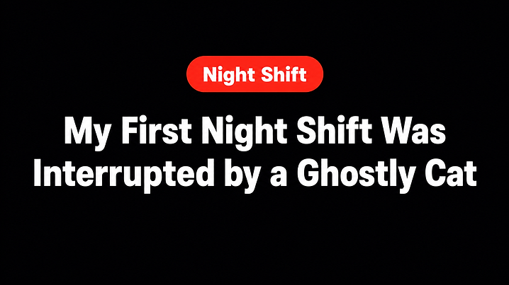 My First Night Shift Was Interrupted by a Ghostly Cat