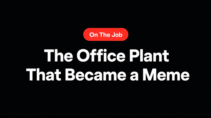 The Office Plant That Became a Meme
