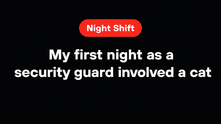 My first night as a security guard involved a cat