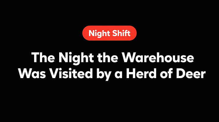 The Night the Warehouse Was Visited by a Herd of Deer