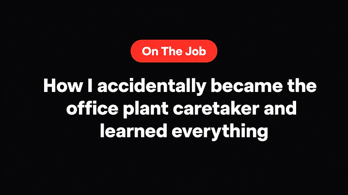 How I accidentally became the office plant caretaker and learned everything