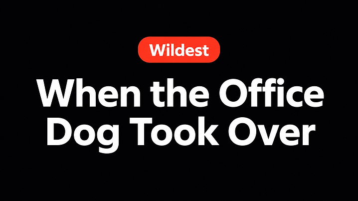 When the Office Dog Took Over