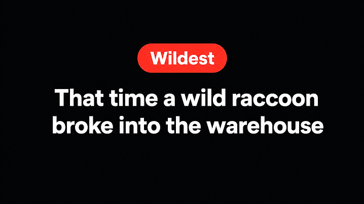 That time a wild raccoon broke into the warehouse
