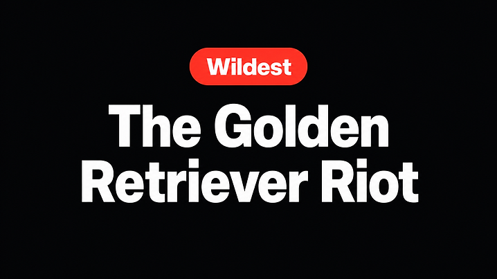 The Golden Retriever Riot
