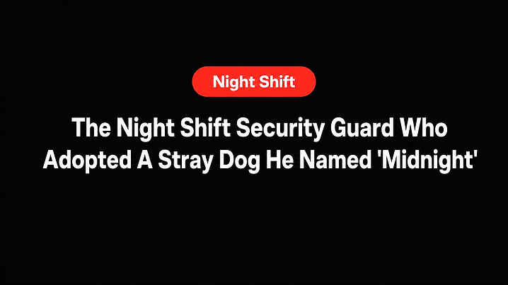 The Night Shift Security Guard Who Adopted A Stray Dog He Named 'Midnight'