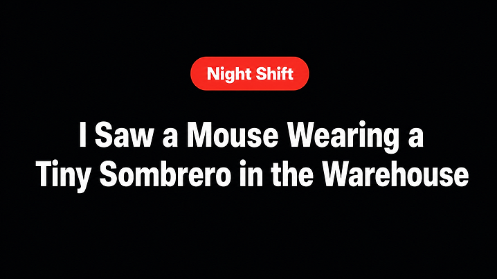 I Saw a Mouse Wearing a Tiny Sombrero in the Warehouse