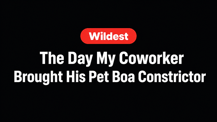 The Day My Coworker Brought His Pet Boa Constrictor