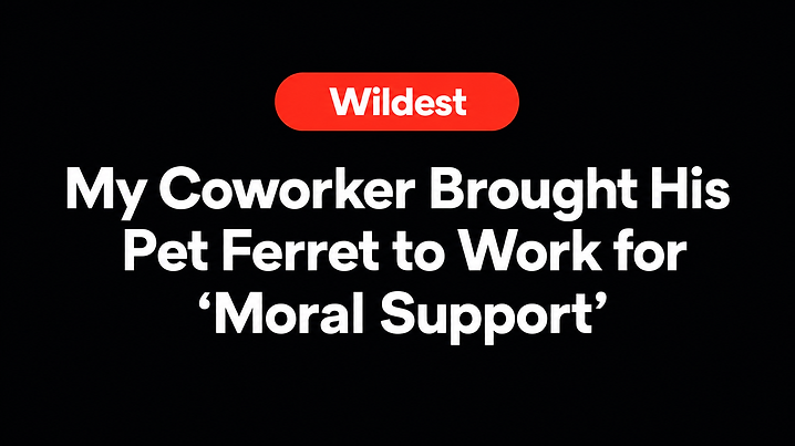 My Coworker Brought His Pet Ferret to Work for 'Moral Support'