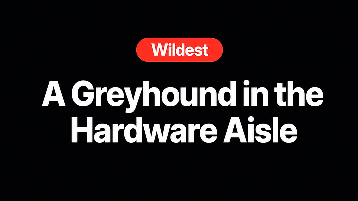 A Greyhound in the Hardware Aisle