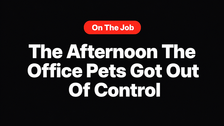 The Afternoon The Office Pets Got Out Of Control