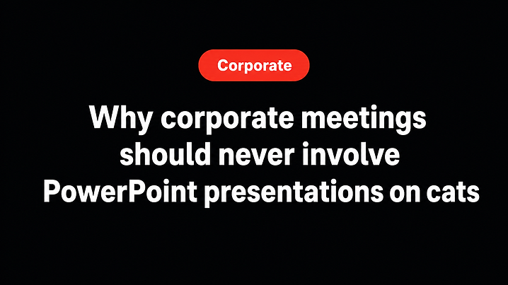 Why corporate meetings should never involve PowerPoint presentations on cats