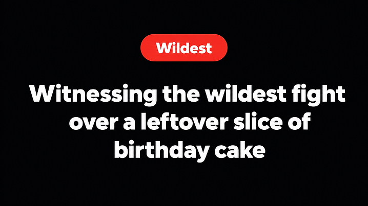 Witnessing the wildest fight over a leftover slice of birthday cake