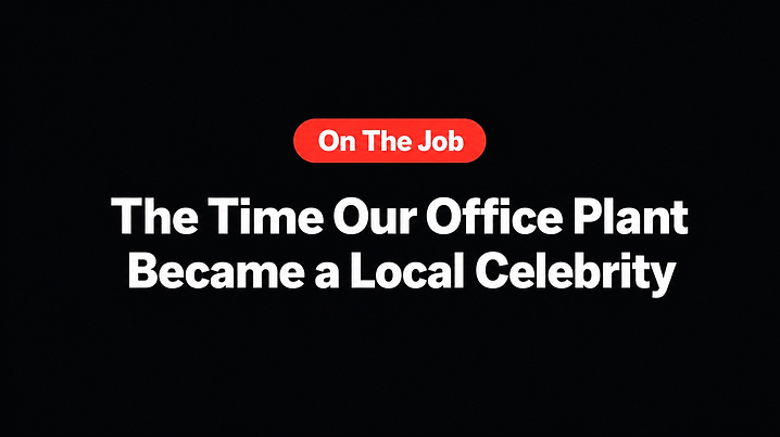 The Time Our Office Plant Became a Local Celebrity