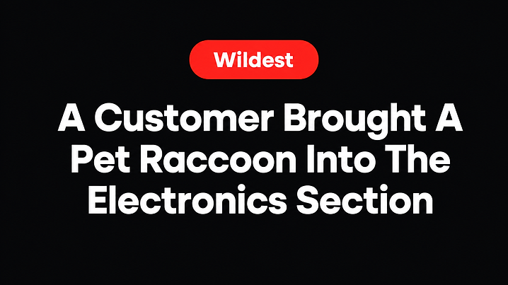 A Customer Brought A Pet Raccoon Into The Electronics Section