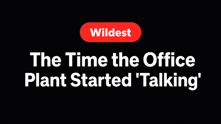 The Time the Office Plant Started 'Talking'