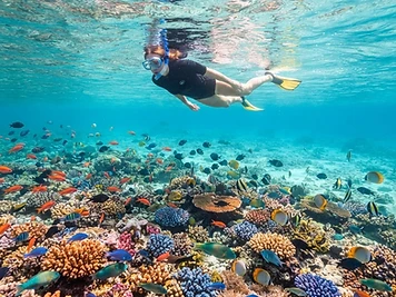 Guided Reef Snorkeling