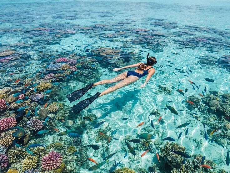 Diver with manta ray