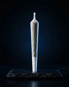 Pre-Rolled Cone