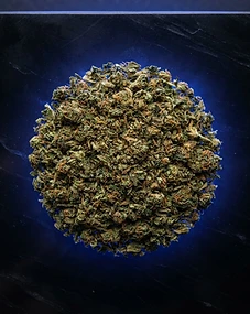 Shake Oz. — Hybrid Blend