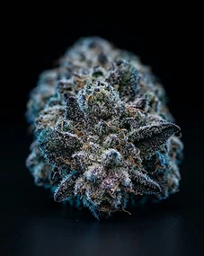 Blue Alien