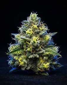 Lemon Train Kush