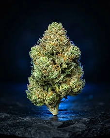 Lime Pie