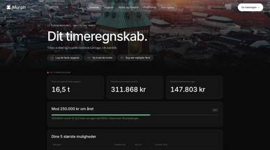 Timeregnskabet template preview