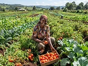 Agriculture
