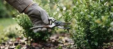 Illustration du service Entretien des espaces verts