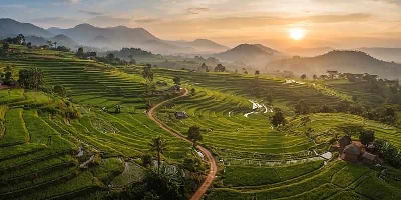 From Mbale to the region — and beyond by 2027.