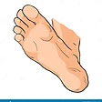 Alpha foot illustration