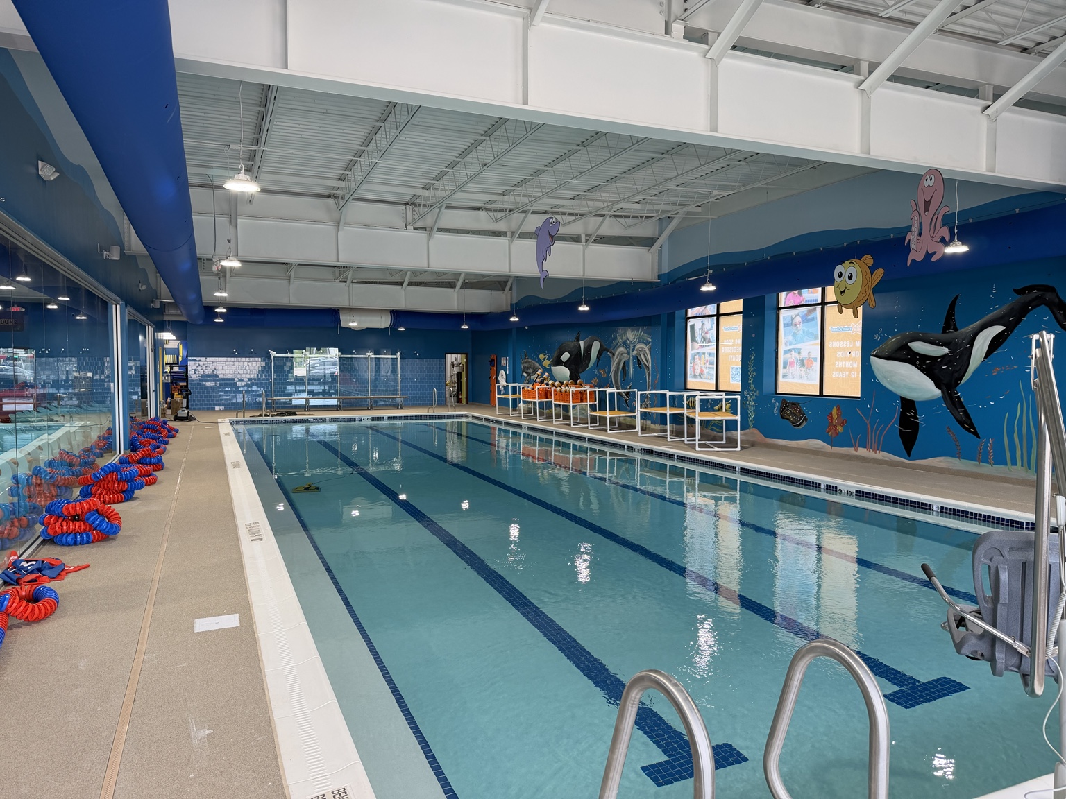 Goldfish Swim School