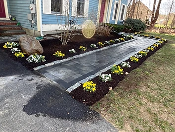 Garden Walkway & Planting
