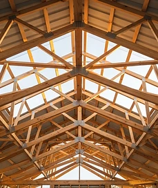 Illustrative Australian timber roof trusses and rafters — AI-generated, not a Mair project