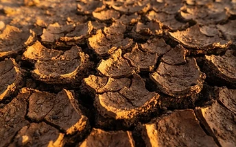 Arizona land texture