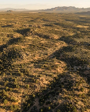 Arizona high desert landscape