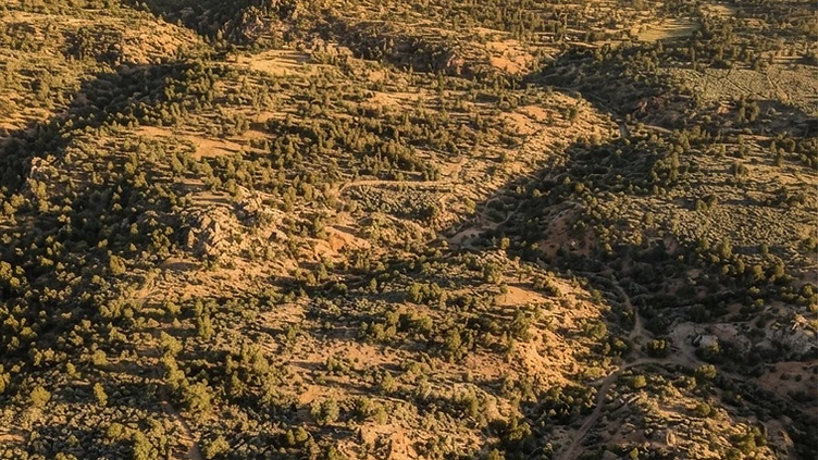 Arizona high desert rangeland