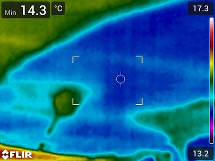 Thermografische Aufnahme einer Kalt- und Feuchtestelle