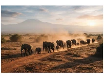 Amboseli & Tsavo Explorer