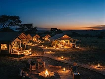 Luxury Mara Tented Camp Escape