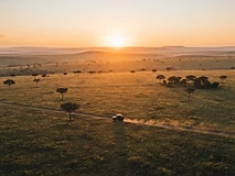 The Great Migration Signature Safari
