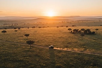 The Best Time to Visit Kenya for a Safari