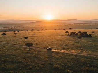 The Great Migration Signature Safari