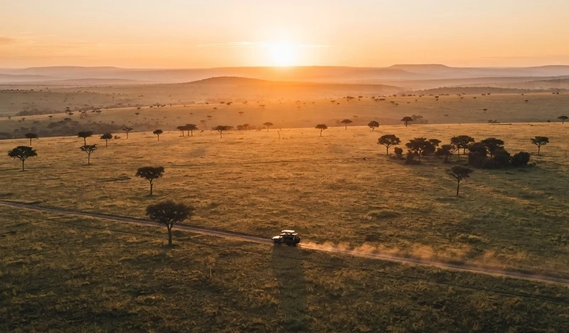 The Great Migration Signature Safari