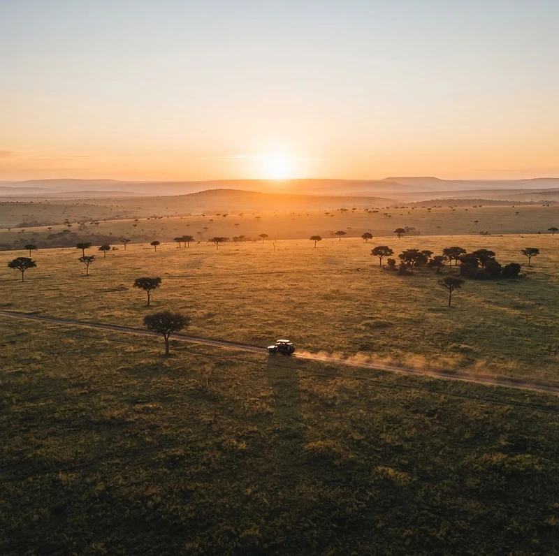 Kenya safari holidays: the Maasai Mara at dawn with acacia trees on the plains