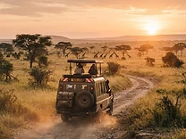 Safari vehicle on a dirt track in the Masai Mara at sunrise
