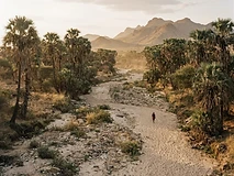 Samburu & Laikipia Wilderness