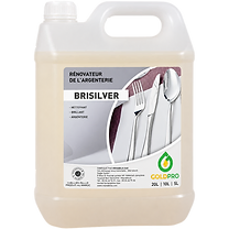 BRISILVER — Gold Pro