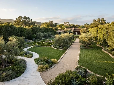 Large landscape projects landscape with privacy hedges