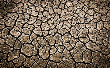 Close-up of dry, cracked earth.